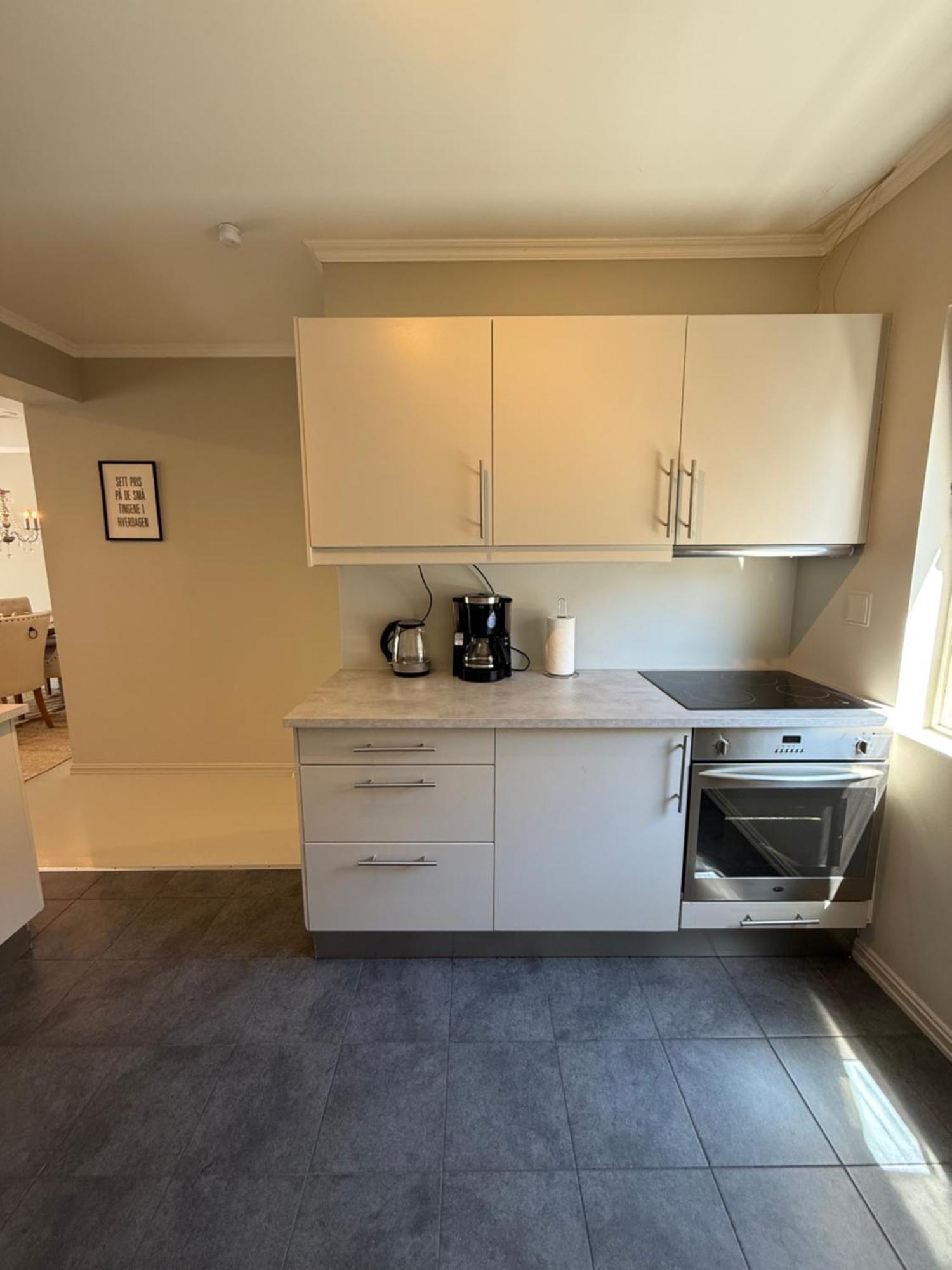 Notodden Sentrum Apartment NO 2 Buitenkant foto
